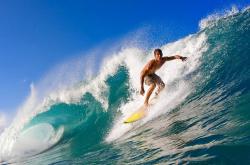 凯恩连续十五场比赛得分超过险胜，加拿大队不断突破！引发球迷热议